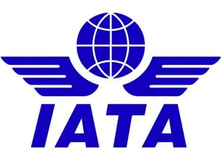 a7cafcda4ea1546afbf0e91ccae3691.jpg